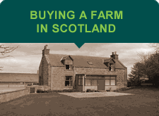 buying a farm in scotland