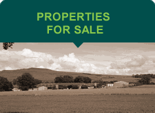 properties for sale